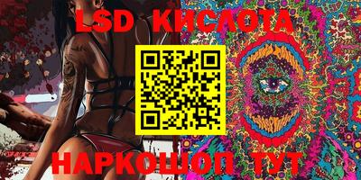 крисы Апшеронск