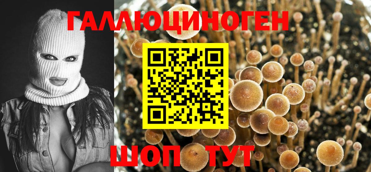 Псилоцибиновые грибы Magic Shrooms Вышний Волочёк