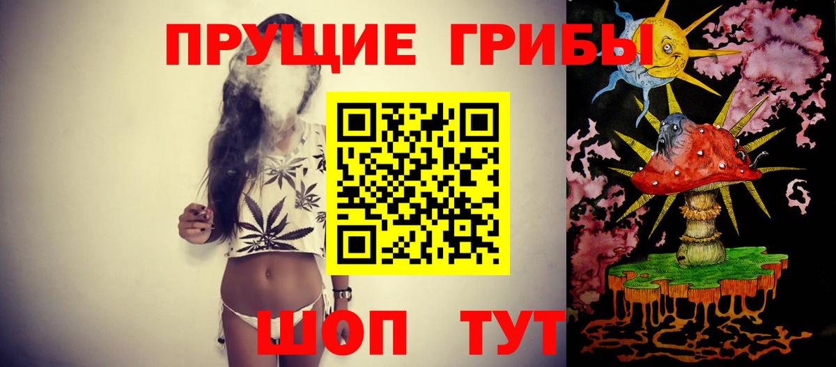 Вышний Волочёк  Галлюциногенные грибы прущие грибы  Вход с VPN 