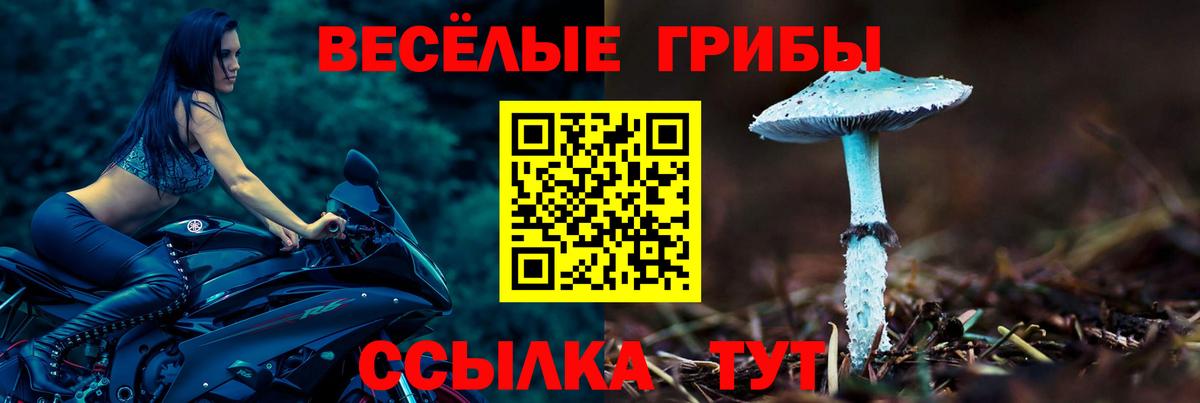 Псилоцибиновые грибы мицелий Вышний Волочёк