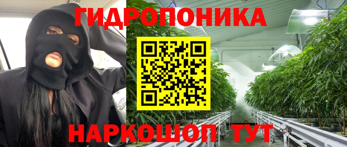 Бошки марихуана гибрид Вышний Волочёк